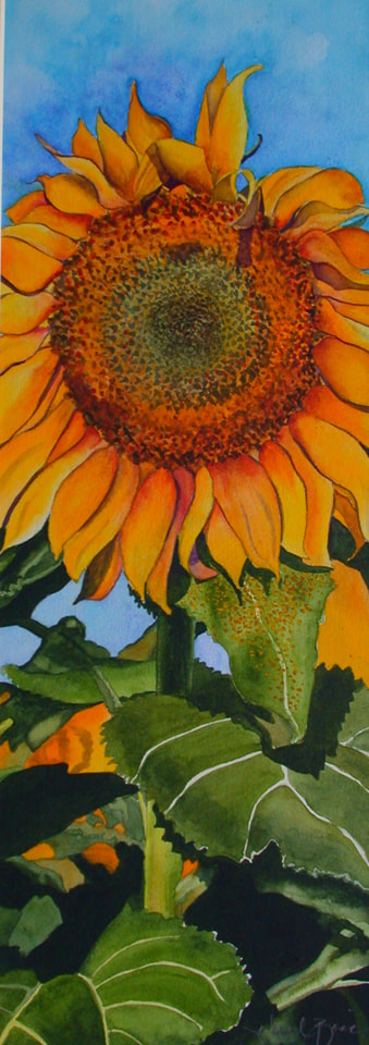floral, sunflower, watercolor, flower